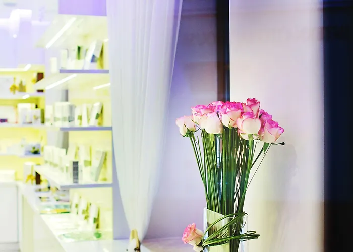 아르티스 센트럼 4*