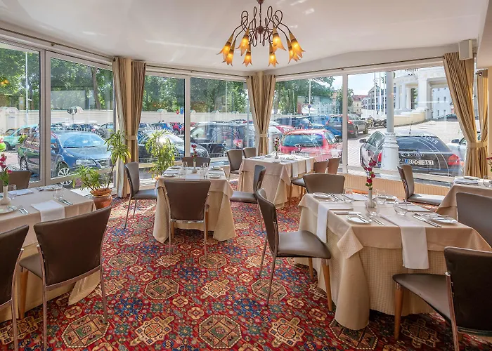 아르티스 센트럼 빌뉴스